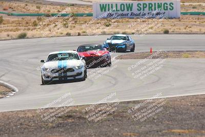 media/Oct-25-2025-West Coast Racing (Sat) [[9fdcbcd09c]]/Blue group/Turn 4/
